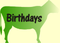 Birthday Parties
