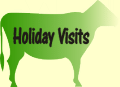 Holiday Visits